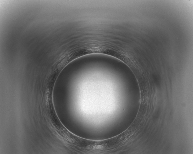 X0000054390647200508051648