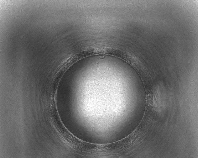 X0000054390648200508051648