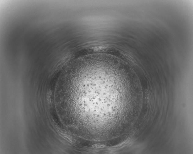 X0000054390650200508051648