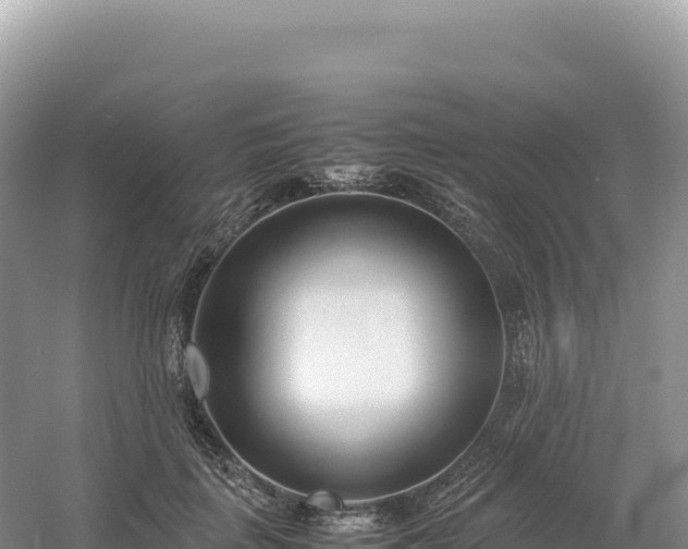 X0000054390651200508051648