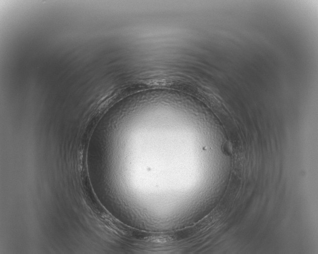 X0000054390652200508051648