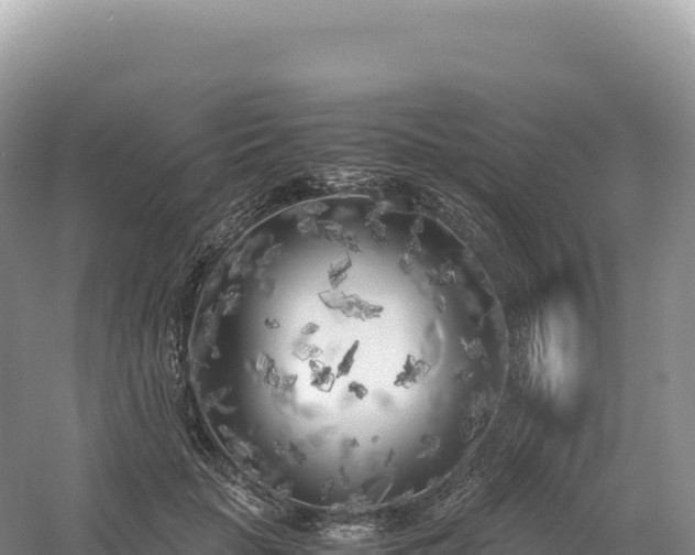 X0000054390653200508051649