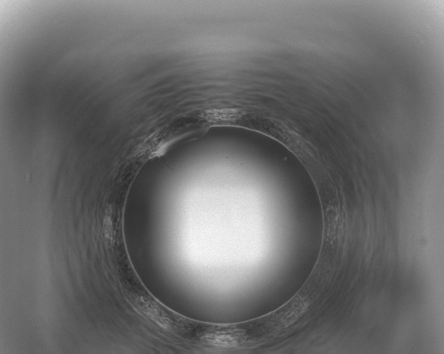 X0000054390655200508051649