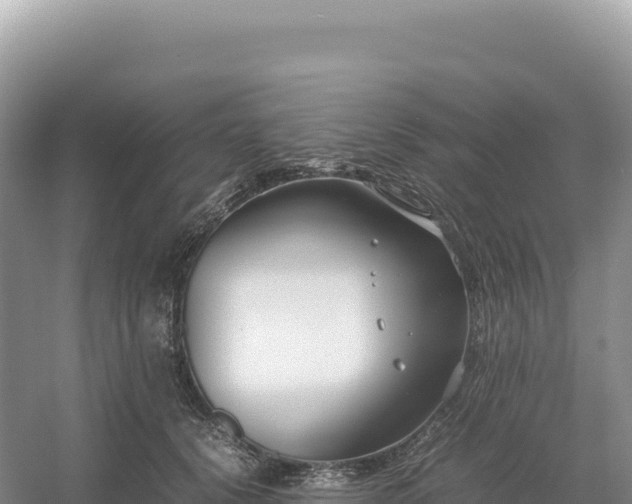 X0000054390656200508051649