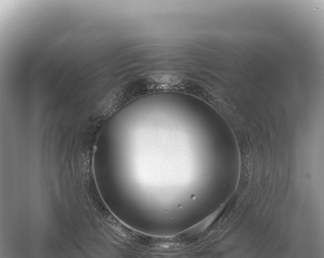 X0000054390657200508051649