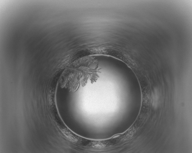 X0000054390658200508051649