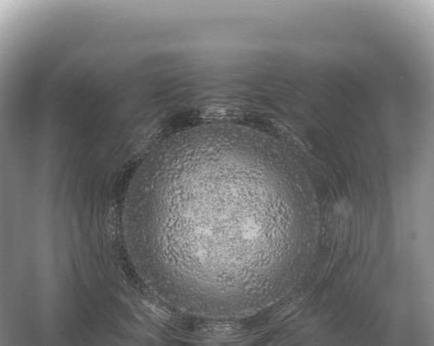 X0000054390659200508051649