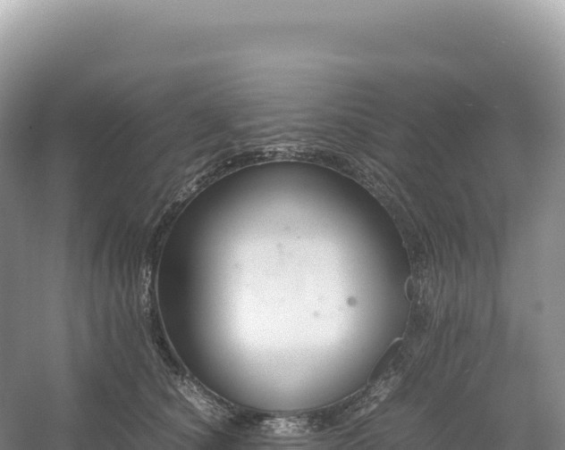 X0000054390660200508051649