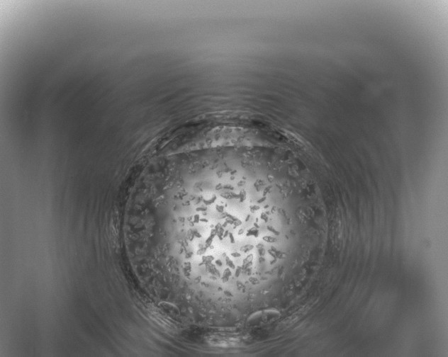 X0000054390661200508051649