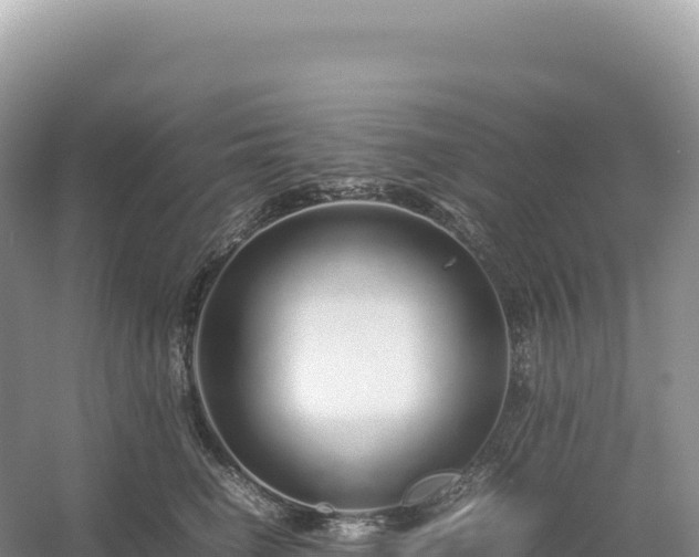 X0000054390662200508051649