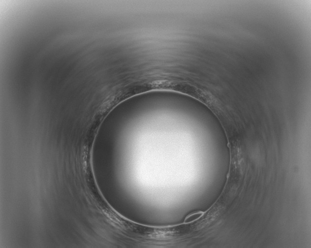 X0000054390664200508051649