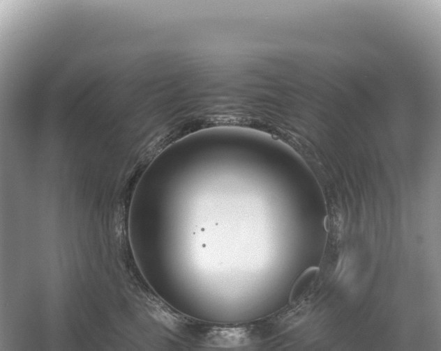 X0000054390665200508051649