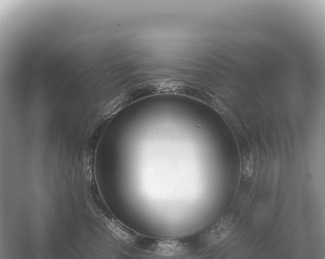 X0000054390666200508051649