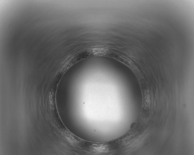 X0000054390667200508051649