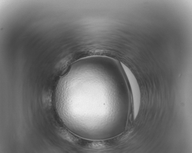 X0000054390668200508051649