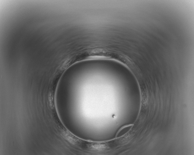 X0000054390669200508051649