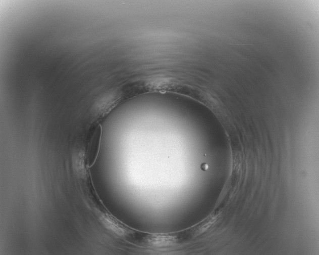 X0000054390670200508051649