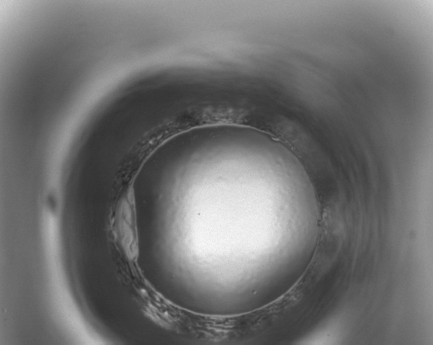 X0000054390671200508051649