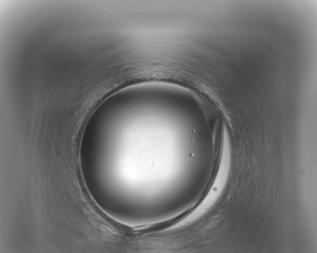 X0000054390673200508051648