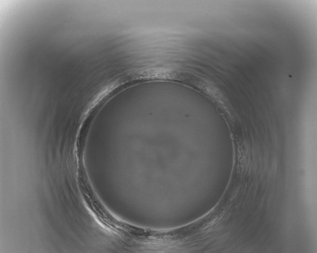 X0000054390674200508051648