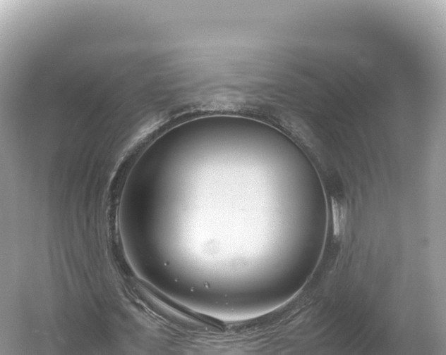 X0000054390675200508051648