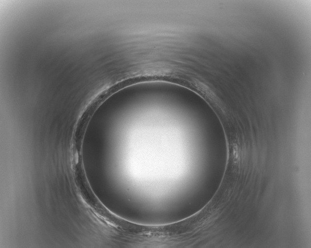 X0000054390676200508051648