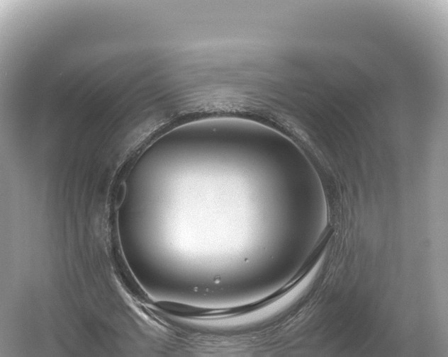 X0000054390677200508051648