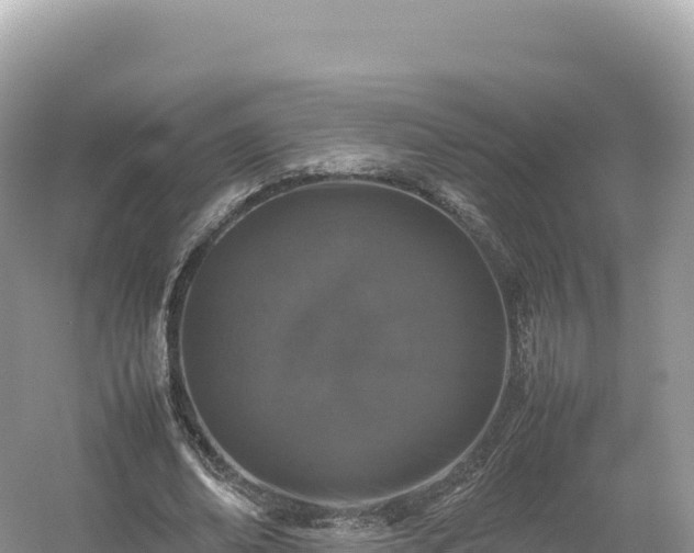 X0000054390678200508051648