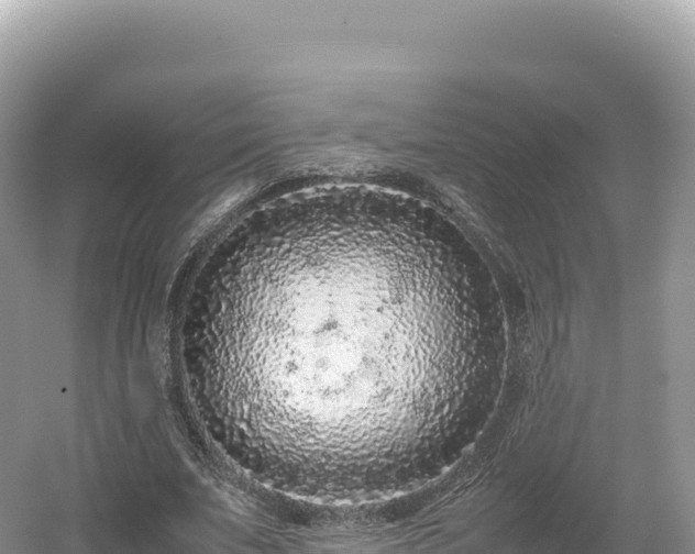 X0000054390679200508051648