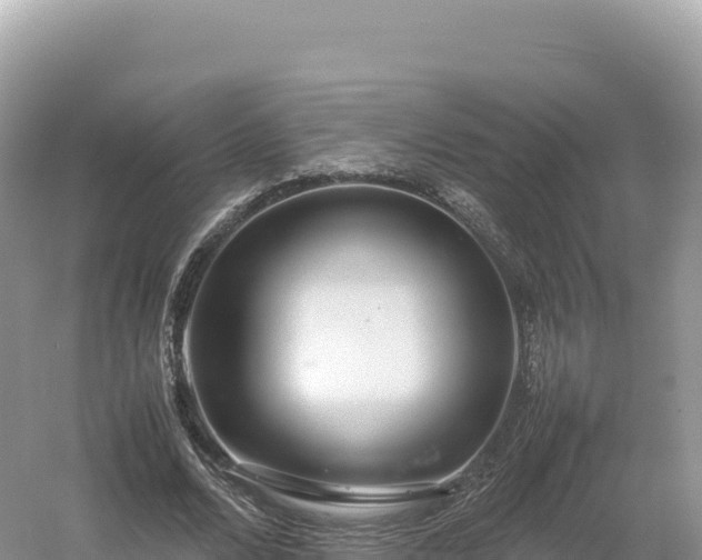 X0000054390680200508051648