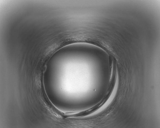 X0000054390681200508051648