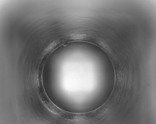 X0000054390682200508051648