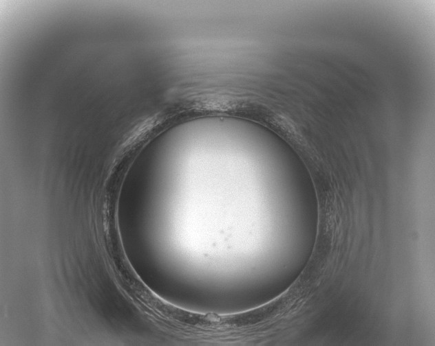 X0000054390683200508051648