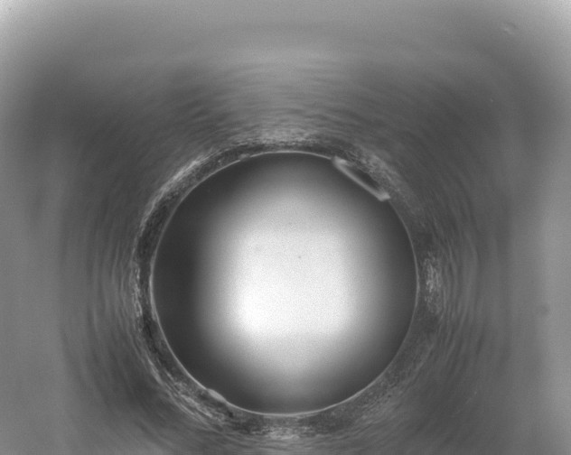 X0000054390684200508051648