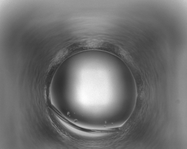 X0000054390685200508051648