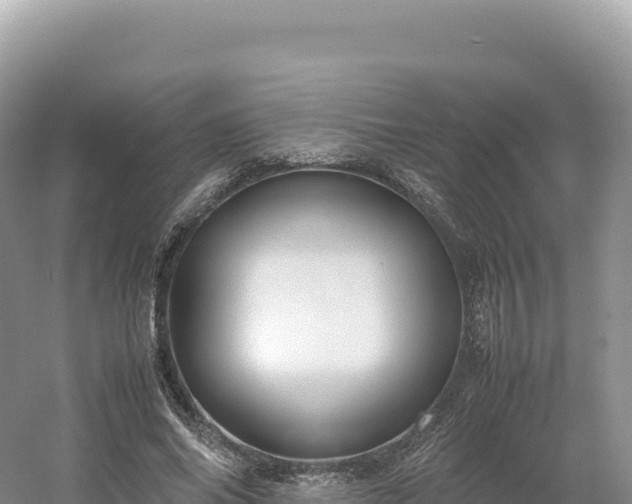 X0000054390686200508051648