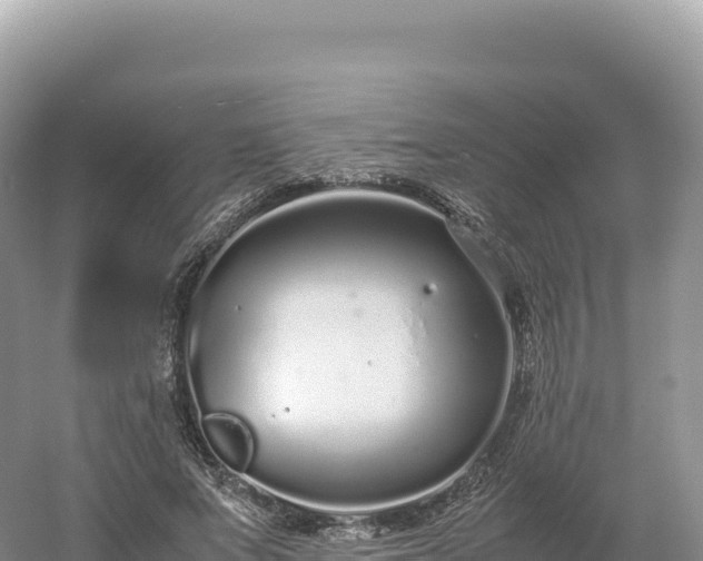 X0000054390687200508051648