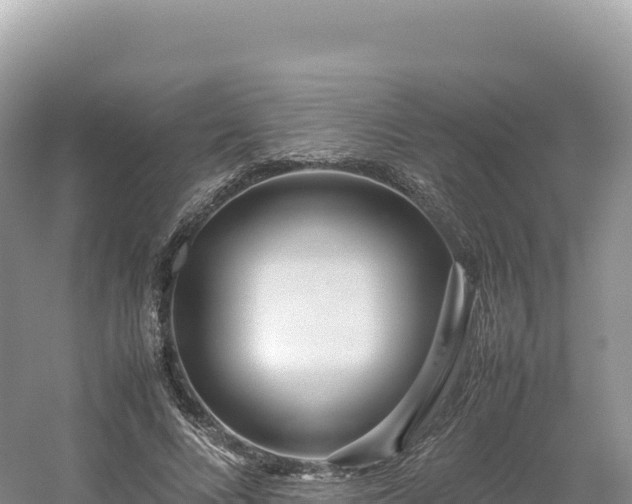 X0000054390688200508051648