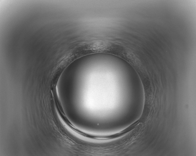 X0000054390689200508051648