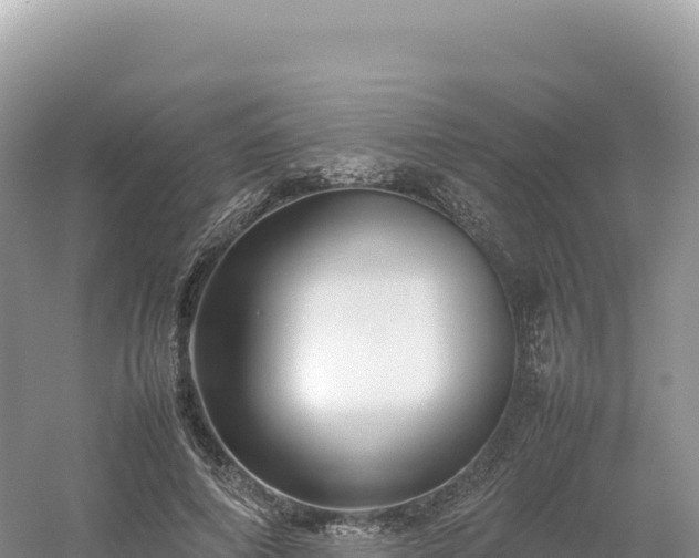 X0000054390690200508051648