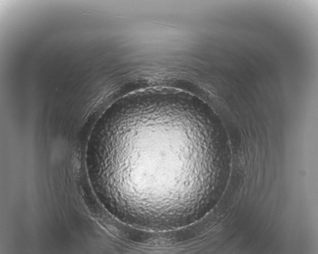 X0000054390691200508051648