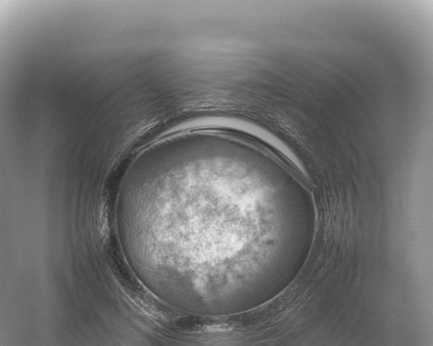 X0000054390692200508051648