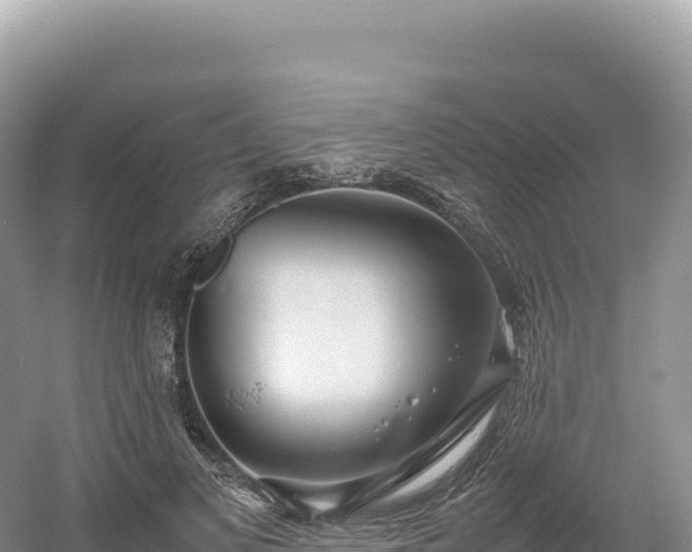 X0000054390693200508051648