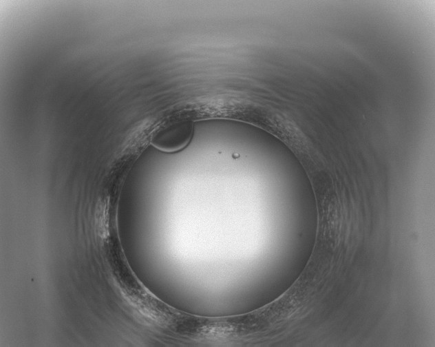 X0000054390694200508051648