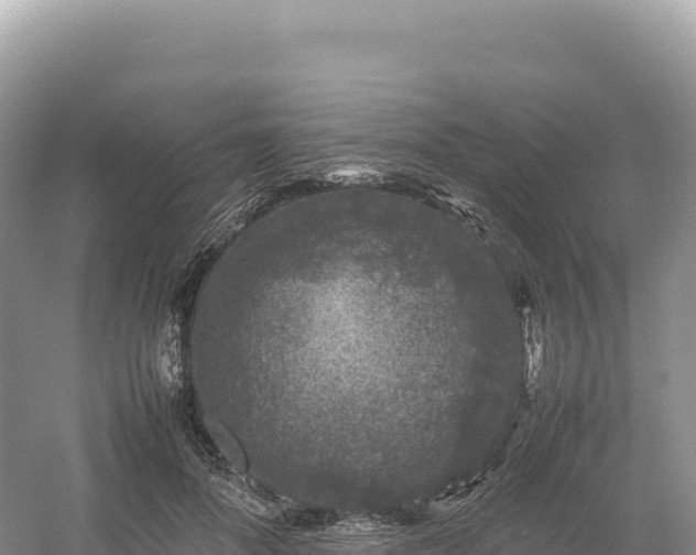 X0000054390696200508051648