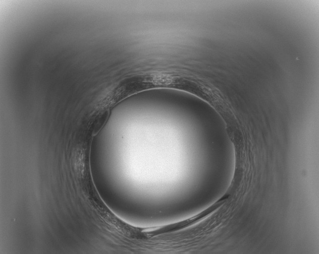 X0000054390697200508051648