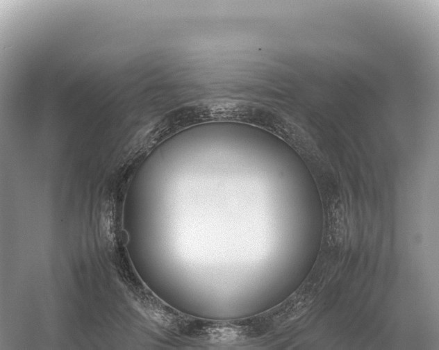 X0000054390698200508051648