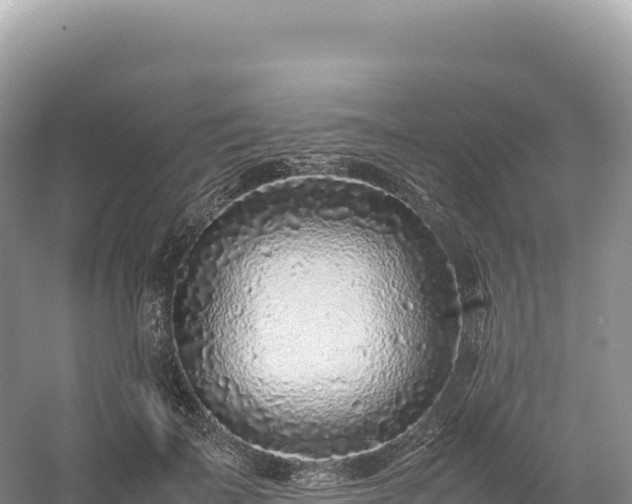 X0000054390699200508051648