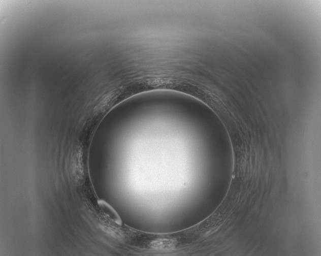 X0000054390700200508051648