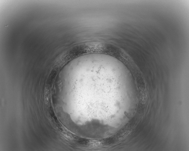 X0000054390701200508051648